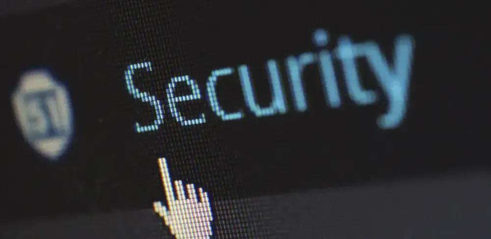 An image uploaded to Strapi called services/security/security-support